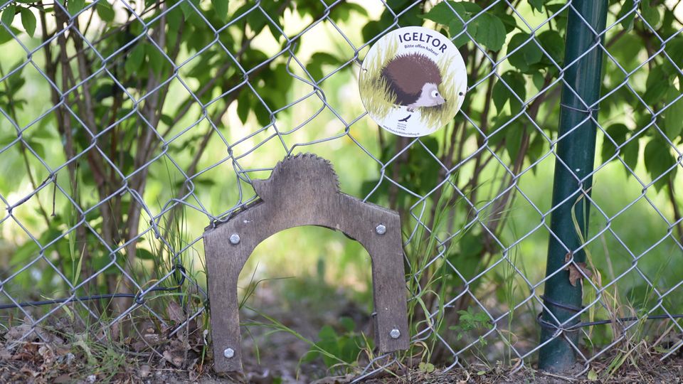 igeltor-wildtier-stiftung